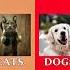 CATS Vs DOGS Which One Is Smarter Cat Dog Facts Usa Intelligence