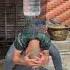 This Bottle Shower Hack Is Next Level Resourceful Shampoo Anywhere Lifehack Diy Funny