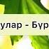 Тыва караоке Мерген Куулар Бурулер самы