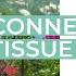 30 MIN Connective Tissue Workout With Miranda Esmonde White Essentrics