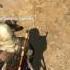 Assassin S Creed IV Баги Приколы Фейлы