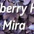 Mira Strawberry Heart Lyrics