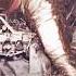 How Kalpana Chawla And Team Died Shorts Viral Youtubeshorts
