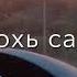 Сай долу жима дог хьуна д1а делла