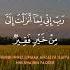 DUA NABI MUSA Rabbi Inni Lima Anzalta Ilayya Min Khairin Faqir