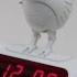 Digitime LED Singing Bird Alarm Clock