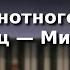 Урок фортепиано 29 1 Разбор нотного текста М Шмитц Микки маус Любительское музицирование