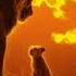 He Lives In You The Lion King 2019 Lebo M