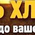 Путь хлеба от поля до вашего стола