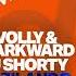 Divolly Markward X DJ Shorty Vazilando Extended Mix