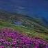 Dreaming In Color I Judah Earl Laura Brehm Music Cinematic Rest