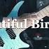 RAISE A SUILEN Beautiful Birthday Guitar Cover