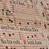 Cantate Domino 15 06 25
