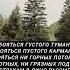 Не надо бояться густого тумана Евгений Евтушенко стихи мотивация изменижизнь
