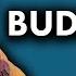 What Is Buddhism