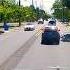 Y All Keep Me Sharp Truckdriver Peterbilt Animals Driving Nj Lbi Funny Car Dashcam