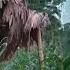 HEAVY RAIN AND THUNDER Homeless Girl Braves The Storm CEO Don S Search Efforts Pay Off Ly Tu Hoa