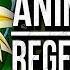 REGENERIEREN Broly OPFuture Ft Hannah