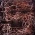 Evanescence The Chain