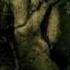 Draconian She Dies