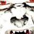 Yeah Yeah Yeahs Heads Will Roll Official Instrumental