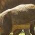 Even Giant Dinosaurs Have A Soft Spot Walking With Dinosaurs BBC Earth