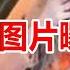 千万网红蔡萝莉摘下面具 零P图片曝光 你多大了