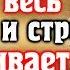 СЛУШАЙТЕ КОРАН УБИРАЕТ ВЕСЬ НЕГАТИВ И СТРЕСС УВЕЛИЧИВАЕТ ИМАН СЧАСТЬЕ Красивое чтение корана