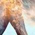 Workout Motivation Fedor Emelianenko Tribute The Last Emperor