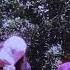 Uicideboy Mount Sinai Extended