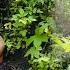 Single Mother Saves Kidnapped 4 Year Old Girl A Fateful Encounter Between Two Abandoned Fates