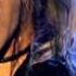 Whitesnake Blues For Mylene