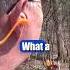 Hickok45 Shoots A Swiss Mauser