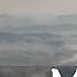 Keep Your Stance Don T Waver Meditation With Miyamoto Musashi Samurai Meditation Music