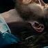 Hozier All Things End Official Video