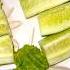 Cucumber Kakra Kakraseason Cucumbercarving Cucumbercutting Cucumberplating Foodie Music