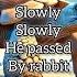 Tortoisetu And Rabit Race Aianimation Lessonoflife Moralstories Rabbit Turtle Storyforkids