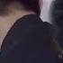 Full Movie CEO Cinderella Get Cozy In The Car Their Love Confessions Are Overheard