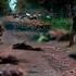 Out Of 100 People 8 Survived PMC Wagner Talked About Catastrophic Losses Of Russians In Sumy