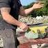 Building An Irish Stone Cottage Extension Stonemason Oldcottge