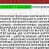 Функции спинного продолговатого и среднего мозга коры ретикулярной формации лимбической системы