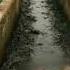 Water War Indian PM Modi Vs Pakistan PM Shahbaz India Modi Pakistan Water Indiapakistanwar