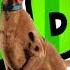 Ejdan Boz BOOM Scooby Doo PaPa