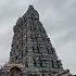 Sri Raja Rajeswari Temple Sri Rajarajeshwari Devi Temple Ammavaru Birds God Devotional