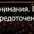 Брюс Алан Уоллес Глава 4 Революция внимания Пробуждение силы сосредоточенного ума