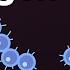 Nitrogen Fixation Nitrogen Cycle Microorganisms Don T Memorise