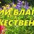 Аффирмации Благодарности Указы Божественной Силы чтобы ИЗМЕНИТЬ СВОЮ ЖИЗНЬ