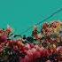 LANY Bad Bad Bad Lyric Video