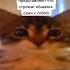 В маинкрафт Трек Тахмина Умалатова 74blade SH3TLVIZ Your Love TROLLFACE MEME