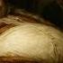 The Humiliating Legend Of Ferdinand VII The King Obsessed With His Own Manhood